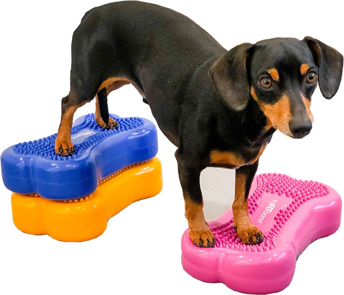FitPaws bone mini, set of 2, Blue